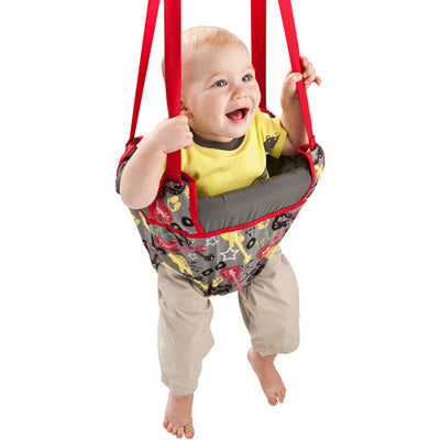 Baby Door Swing